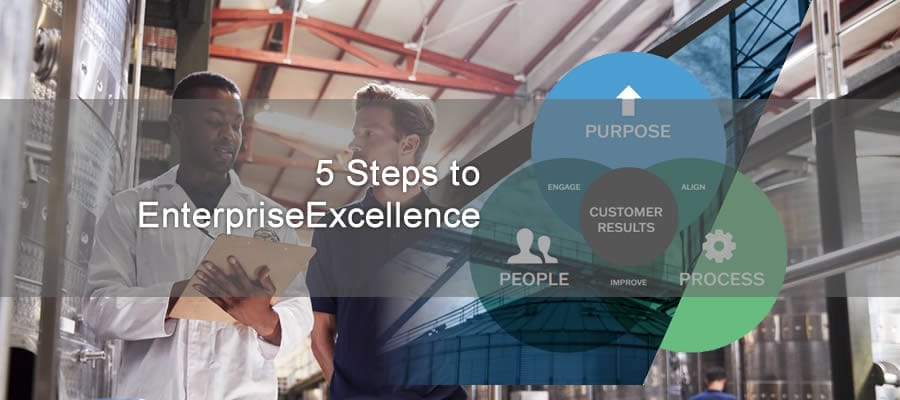 Enterprise Excellence 5 Step Guide image