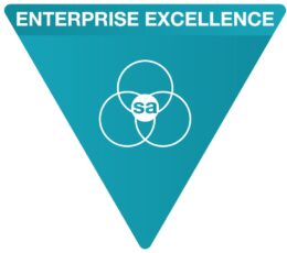 Enterprise Excellence